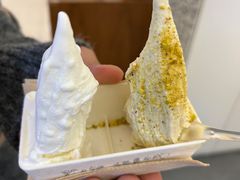 -野人先生Gelato(上海长宁龙之梦店)