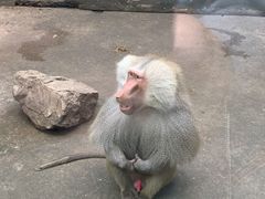 -无锡动物园·太湖欢乐园