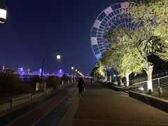 -南昌之星摩天轮