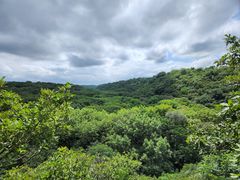 -大青沟风景区