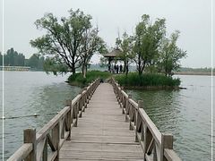 -野鸭湖国家湿地公园