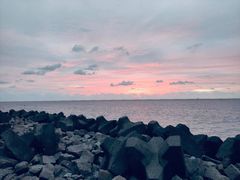 -南汇嘴观海公园