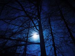 -硗碛藏寨·神木垒景区