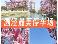 -泗泾镇社区文化活动中心