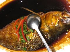 酱油蒸大鲥鱼-舜泉海鲜(百官店)