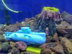 -MOJO密室逃脱(中街旗舰店)