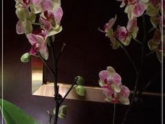 -渝信川菜 · 川味家常菜(长安店)