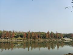 -顺峰山公园