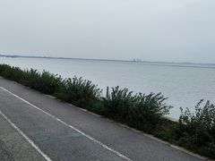 -贡湖湾湿地公园