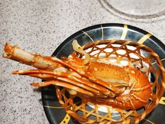 -争鲜回转寿司(南开大悦城店)