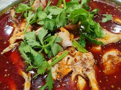 -刘胖娃鱼庄·特色鱼火锅(白鹤路店)
