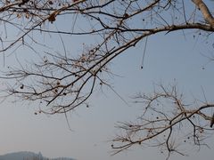 -东湖落雁景区