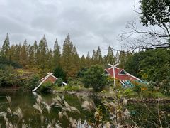 -东平国家森林公园