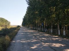 -白渔泡湿地公园