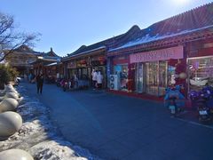 -糖葫芦王保定名吃(古莲花池店)