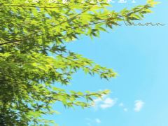 -大伊山景区