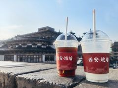 -西安城墙·碑林历史文化景区