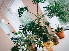 -CAFE'IN精品咖啡体验空间(小寨店)