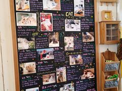 -小时光咖啡馆(开森度假森林店)