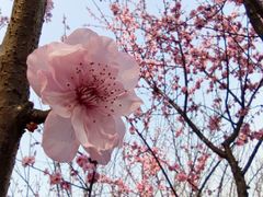 -重庆彩云湖湿地公园