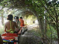 -清迈丛林飞跃 JungleFlight