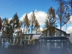 -桃山森林冰雪玉温泉