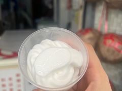 -洪馨椰子