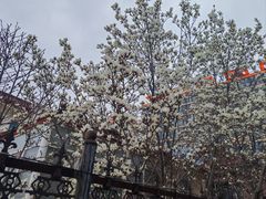 -太原动物园