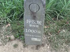 -梧桐山风景名胜区