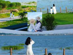 -七的湖·晚芳亭·阳澄湖农家菜·大闸蟹(莲花岛店)