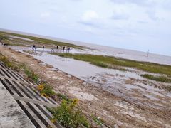 -南汇嘴观海公园