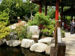 android_upload_pic-中国唐苑