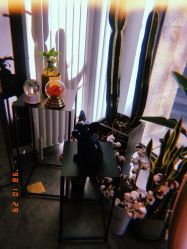 -Priscilla皮肤管理中心