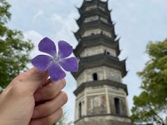 -苏州上方山国家森林公园