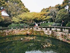 -岳王庙