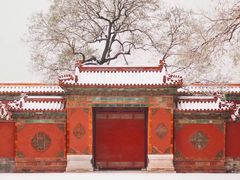 -稻香村金沟河第33营业部