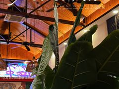 -泰堤坊(淡水体育馆店)