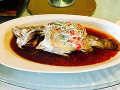 清蒸鲑鱼-听松楼·花园酒店·自助餐厅(红梅公园店)