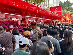 -越秀西湖花市(广州城市广场花卉店)
