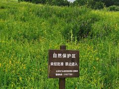 -灵山