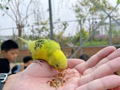 -芜湖新华联大白鲸海洋公园