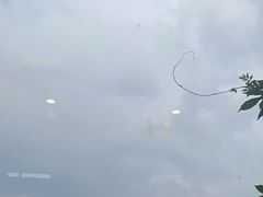 -东湖食堂·湖景餐厅•会议