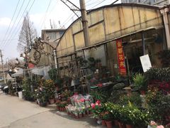 -金陵花卉交易市场