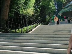 -上海佘山国家森林公园西佘山园