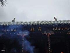 -关林