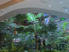 -吕氏疙瘩汤·海鲜新鲁菜(凯德mall新都心店)