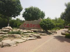 -大港湿地公园