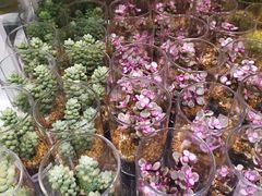 -KKV(深圳宏发大仟里店)