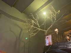 -土蚝·高压锅生蚝(百姓美食街店)