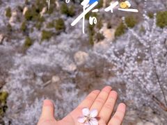 -北京凤凰岭